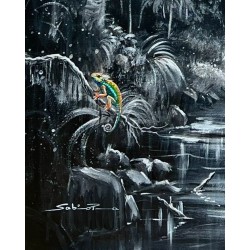 Les Veilleurs de la Canopée