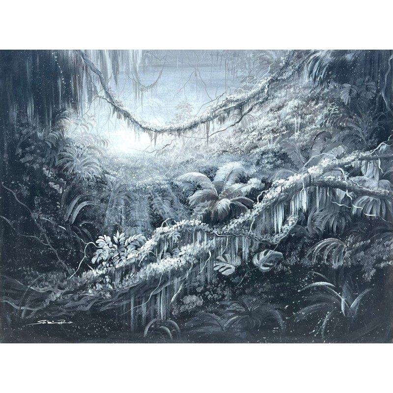 Éclaircie d’un Monde Caché