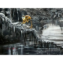 Les Compagnons du Silence Amazonien