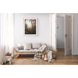 Écho blanc dans la jungle brune