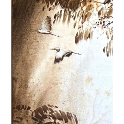 Écho blanc dans la jungle brune