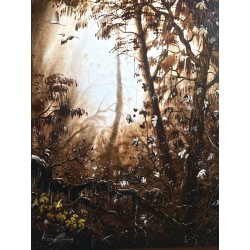 Écho blanc dans la jungle...