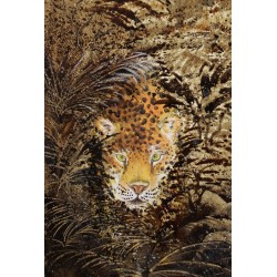 Le Jaguar, dans la Forêt Amazonienne