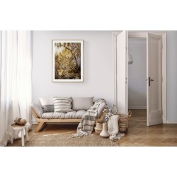 Le Jaguar, dans la Forêt Amazonienne